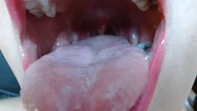 miss evoleth2 online show from March 2026 04:13:01 PM