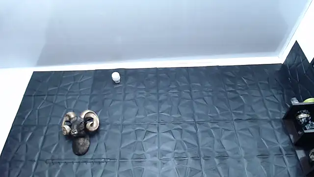 Snapshot of Hanna_Fox_69 chatting on February 2025 04:59:01 AM Hanna Fox 69 online show from February 2025 04:59:01 AM