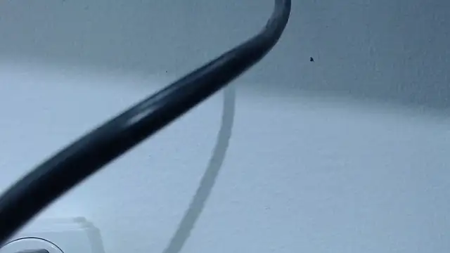 Snapshot of Hanna_Fox_69 chatting on February 2025 07:37:02 AM Hanna Fox 69 online show from February 2025 07:37:02 AM