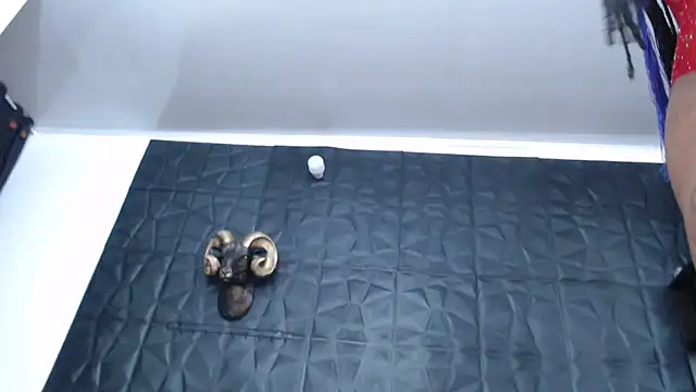 Snapshot of Hanna_Fox_69 chatting on March 2025 09:30:01 AM Hanna Fox 69 online show from March 2025 09:30:01 AM