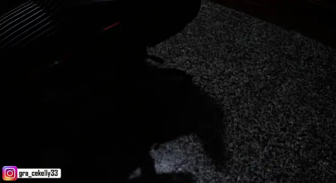 Snapshot of gracekelly12 chatting on December 2024 06:39:01 PM gracekelly12 online show from December 2024 06:39:01 PM