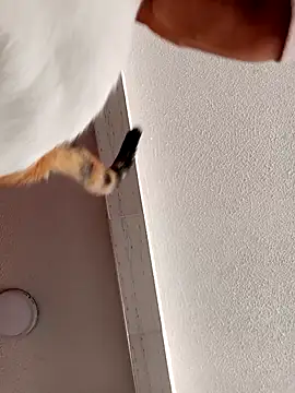 Skylar-Vox- online show from September 2025 01:58:01 PM