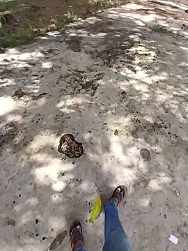 Snapshot of sudhastriper chatting on October 2025 07:58:01 AM sudhastriper online show from October 2025 07:58:01 AM