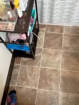 StellerCock online show from February 2026 07:57:02 AM