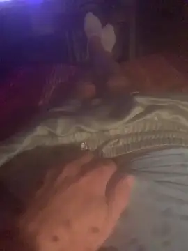 Snapshot of solomec chatting on October 2025 08:42:02 PM solomec online show from October 2025 08:42:02 PM