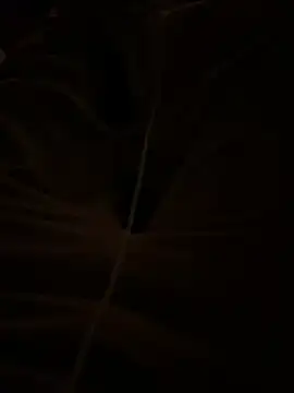 themasteer69 online show from January 2026 08:45:02 PM