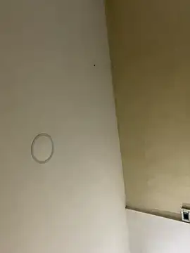 HannaRhodes online show from November 2025 04:02:02 AM