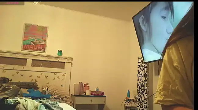 italianlatindream online show from December 2024 01:03:01 AM