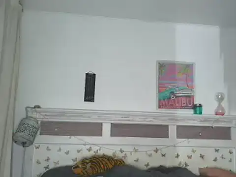 italianlatindream online show from December 2024 06:22:02 AM