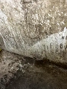 Snapshot of tamil000000 chatting on January 2026 01:05:02 PM tamil000000 online show from January 2026 01:05:02 PM