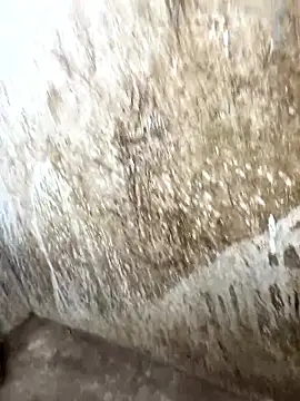 Snapshot of tamil000000 chatting on January 2026 10:31:01 AM tamil000000 online show from January 2026 10:31:01 AM