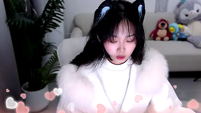 Sheep-1 online show from March 2025 11:10:02 AM