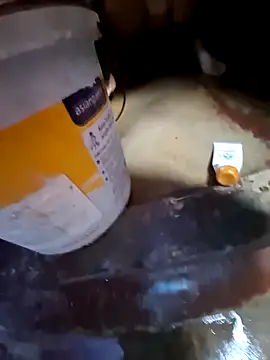 bobbyronak online show from November 2025 08:25:01 AM