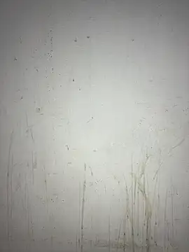 poision51 online show from January 2025 06:30:02 AM