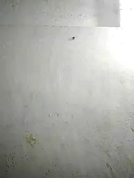 Snapshot of alansteer chatting on December 2024 02:06:02 PM alansteer online show from December 2024 02:06:02 PM