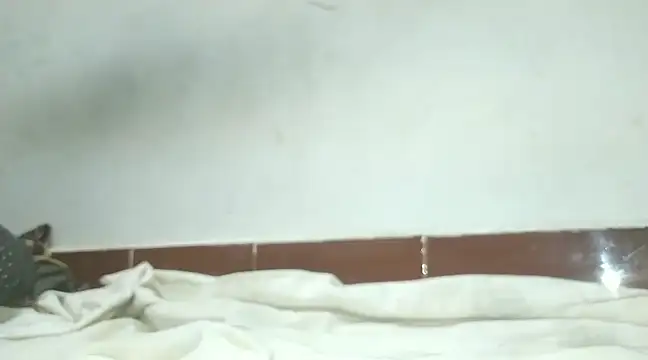 Snapshot of alansteer chatting on February 2025 06:45:01 PM alansteer online show from February 2025 06:45:01 PM