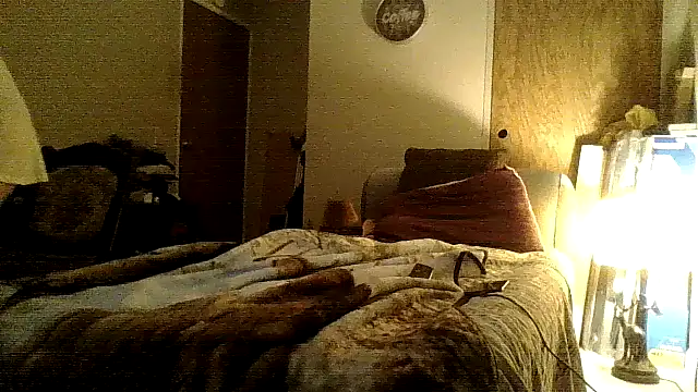 Jay81 online show from December 2024 09:04:01 AM