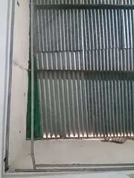 Snapshot of zurdoman_penetro chatting on March 2026 08:03:01 PM zurdoman penetro online show from March 2026 08:03:01 PM