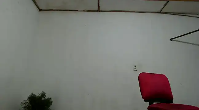 fernandez latinblackk online show from December 2024 11:02:02 PM