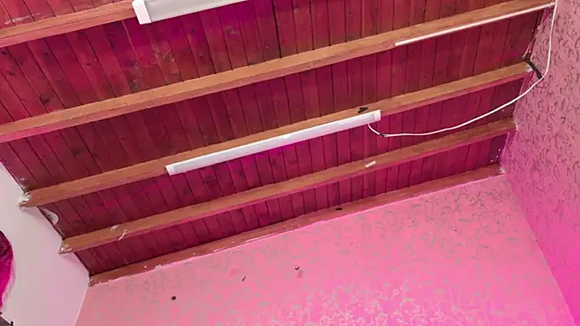 Snapshot of Sofia_martiin chatting on November 2025 03:05:01 AM Sofia martiin online show from November 2025 03:05:01 AM