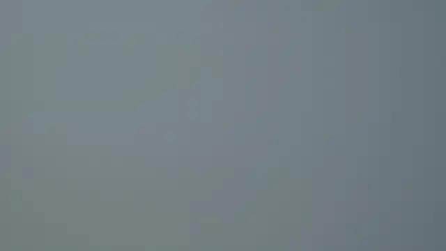 SelinSwarovski online show from October 2025 04:46:02 AM