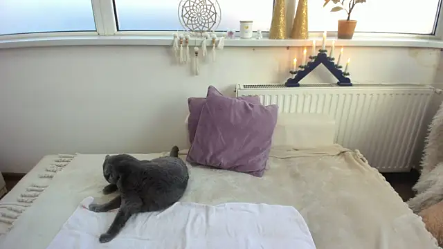 Arya Shinex online show from January 2025 08:13:02 AM