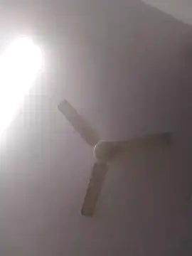 jenilmax online show from December 2024 04:49:01 PM