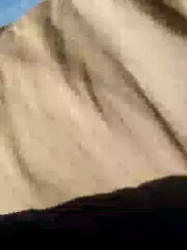 CptDickX258 online show from January 2025 05:22:02 PM