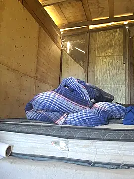 Carlosfkf online show from April 2026 11:13:01 PM