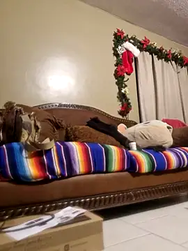 abdierkader online show from December 2025 08:31:02 AM