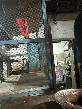 Skinny Bigass 23 online show from February 2025 02:59:02 PM