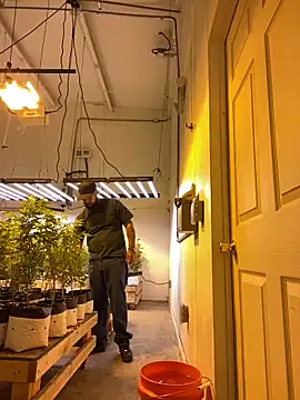 Snapshot of jr91esl chatting on March 2025 05:14:02 PM jr91esl online show from March 2025 05:14:02 PM