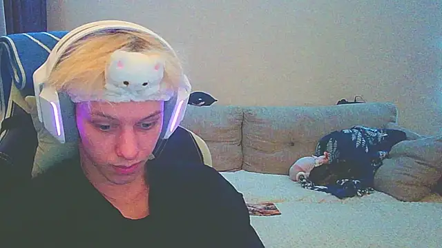 Ostin meow online show from December 2024 12:44:02 PM