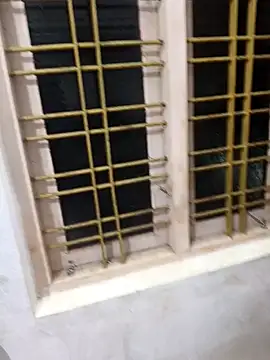 kunnapaltamilfrom online show from February 2025 07:07:01 PM