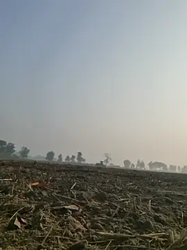 imissyoumylove14 online show from December 2024 03:09:02 AM