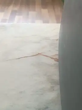 imissyoumylove14 online show from March 2026 06:57:01 AM