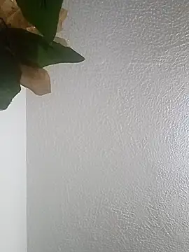 Naomy veracruz  online show from February 2026 10:27:01 AM