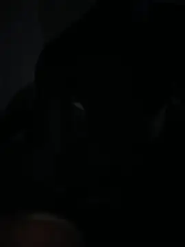 Snapshot of Bignc chatting on March 2026 11:32:02 AM Bignc online show from March 2026 11:32:02 AM