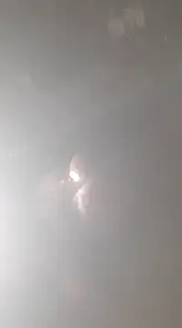 bandi-big-dick online show from January 2025 01:57:01 PM