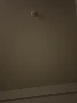 Morguisssz online show from January 2026 12:13:01 AM