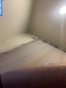 Snapshot of FrankJake99 chatting on November 2025 11:49:02 PM FrankJake99 online show from November 2025 11:49:02 PM