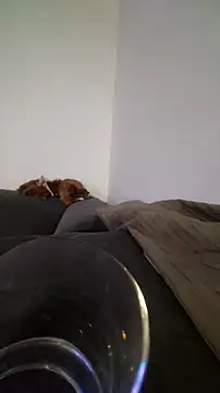 Snapshot of houy111111 chatting on October 2025 10:20:02 PM houy111111 online show from October 2025 10:20:02 PM