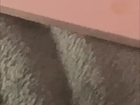 Snapshot of BCNguy1 chatting on January 2026 01:42:01 AM BCNguy1 online show from January 2026 01:42:01 AM