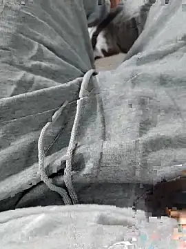 KUKU69XX online show from November 2025 05:51:02 AM