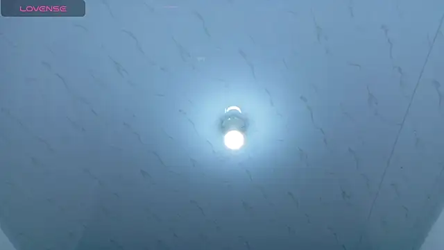 Beautifulkattia online show from March 2026 01:18:02 AM