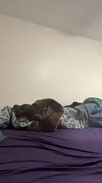 Snapshot of daddymaniaco69 chatting on December 2024 04:52:01 PM daddymaniaco69 online show from December 2024 04:52:01 PM