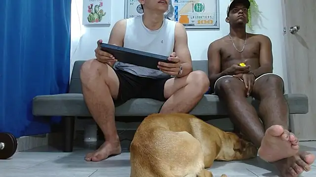 boss of cash online show from February 2026 09:11:02 PM