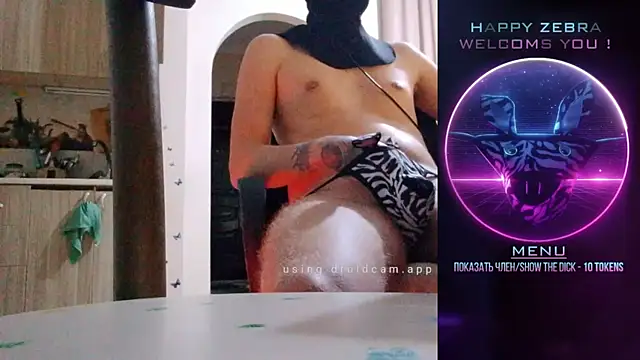 HappyZebra13 online show from December 2024 08:32:01 PM