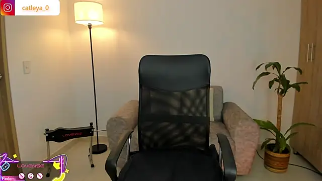 catleya 0 online show from February 2026 03:03:01 AM