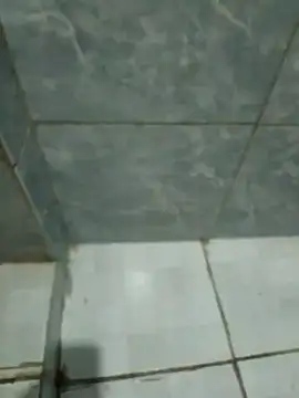 Snapshot of Pretordr chatting on March 2025 10:28:02 PM Pretordr online show from March 2025 10:28:02 PM